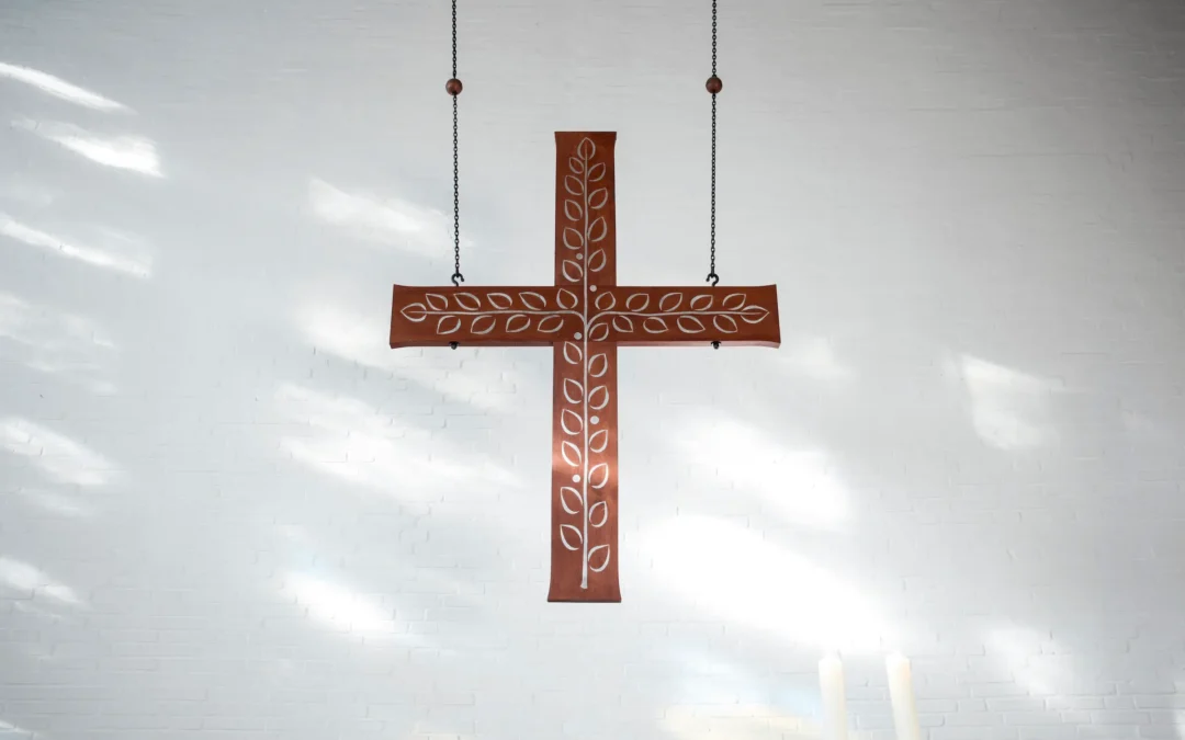 Bericht zur Vollversammlung am 20.03.2026