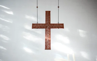 Bericht zur Vollversammlung am 20.03.2026